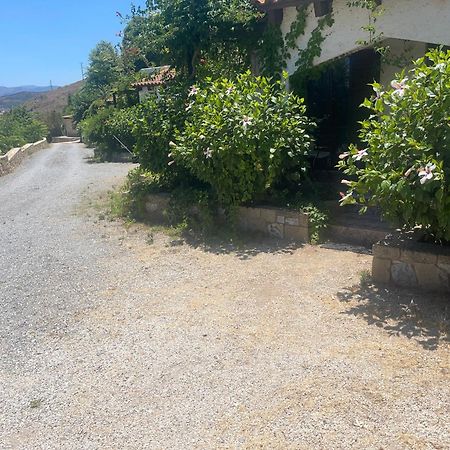 Villas Vista Del Mar Kissamos Bagian luar foto