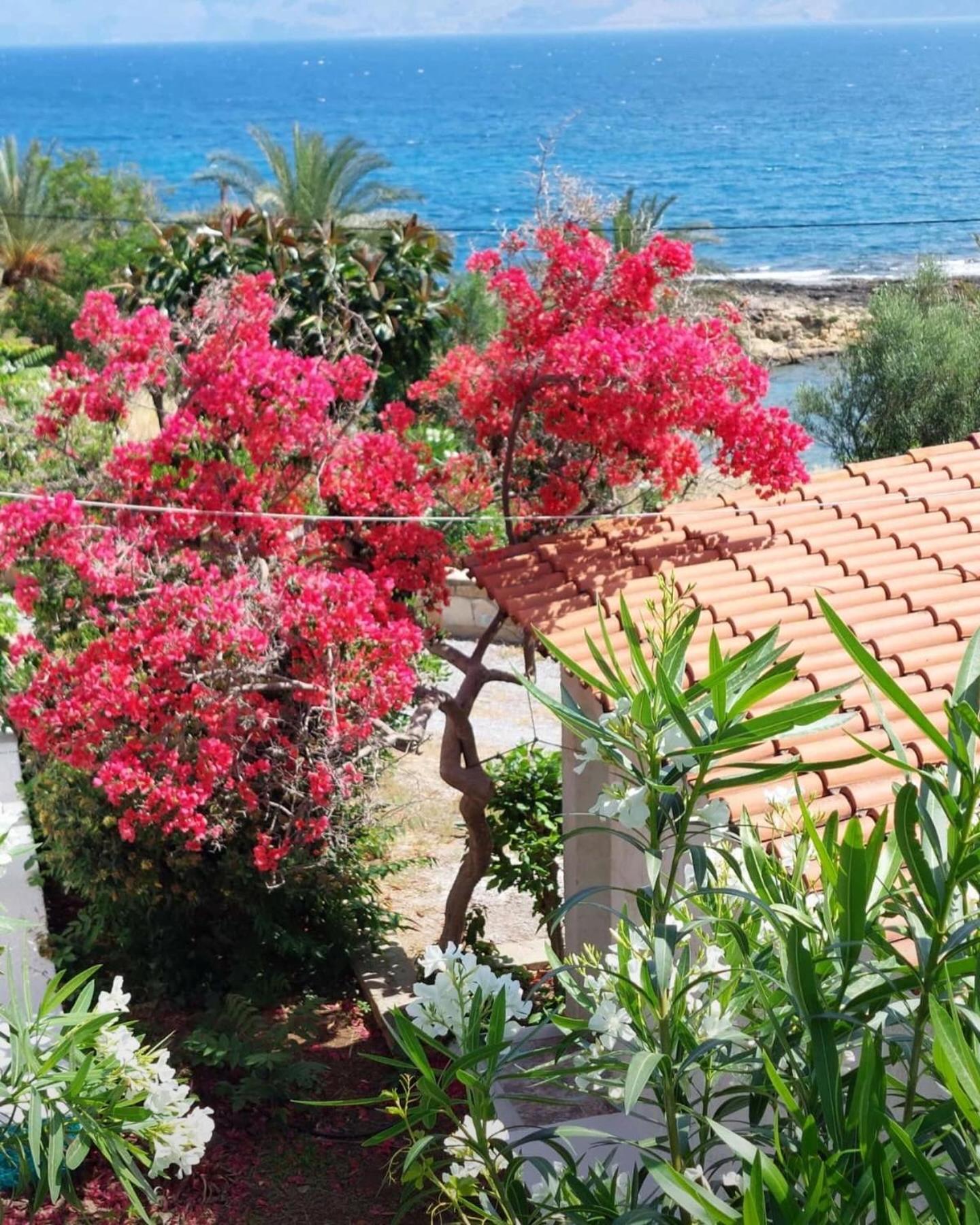 Villas Vista Del Mar Kissamos Bagian luar foto